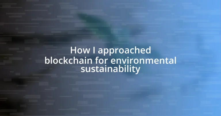 How I approached blockchain for environmental sustainability