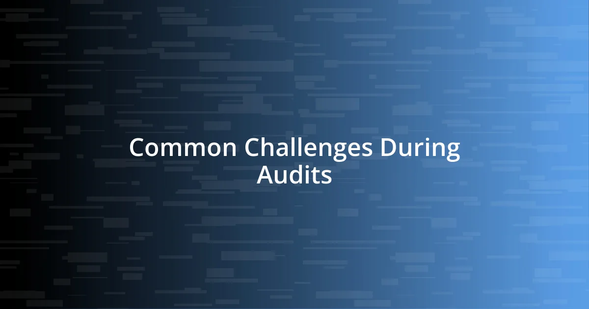 Common Challenges During Audits