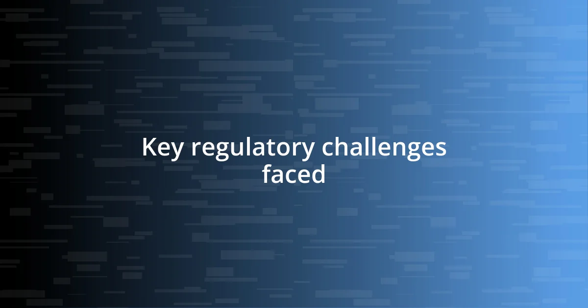 Key regulatory challenges faced